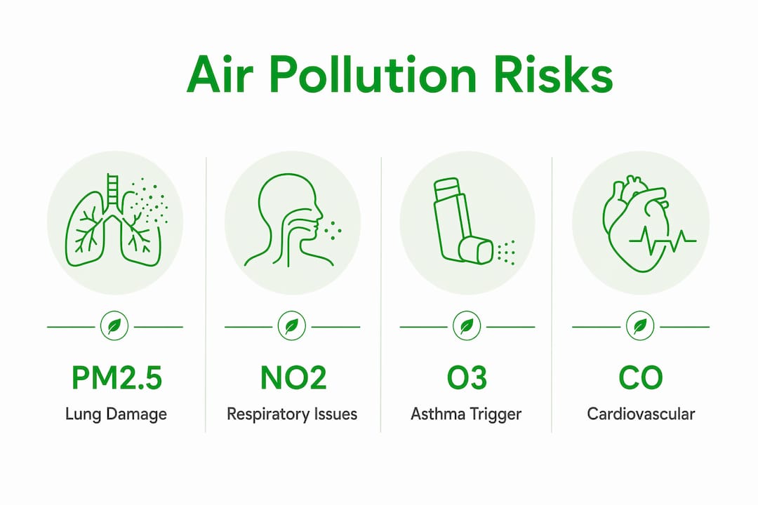 Infographic showing key UK air pollutants and health risks